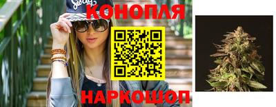 марихуана Гатчина