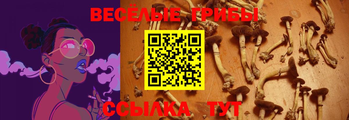 Орехово-Зуево  Псилоцибиновые грибы Magic Shrooms  Вход с VPN 
